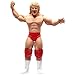TNA Wrestling Legends of the Ring Series 1 Action Figure Jeff Jarrett NWA