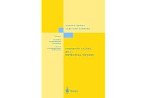 Function Spaces and Potential Theory (Grundlehren der mathematischen Wissenschaften Book 314)