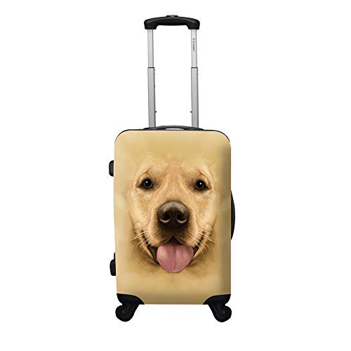 Chariot Dog 3piece Expandable Hardside Light Spinner Luggage Set