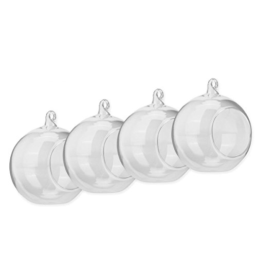 SWISSELITE Glass Hanging Air Orbs Terrariums, Glass Plant Terrariums Globe Set of 4 pcs BILOBA