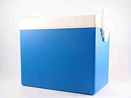 Nevera pasivo Bolsa Térmica 45lt Idea regalo playa playa piscina ...