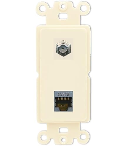 2 CAT6 Wall Plate