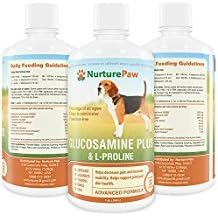 Advanced Hip and Joint Supplement for Dogs | Maximum Strength Liquid Glucosamine Eases Arthritis and Joint Pain in Dogs. 100% Made in the USA