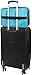 GIANT 124 Essential Oils Train Case for 5ml, 10ml and 15ml bottles – Shoulder Style Soft Case with Tall Plush Black Felt Inlay EVA Insert, Premium Metal Connectors and Double Zippers (Caribbean Blue)