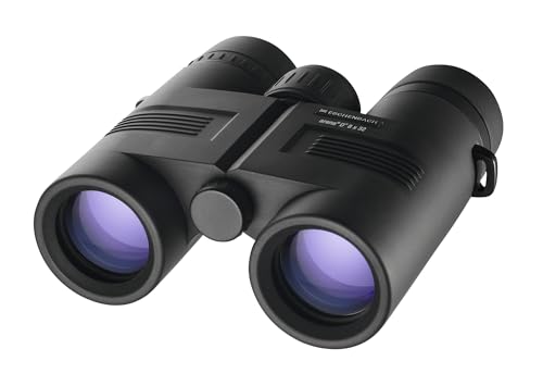 View 3