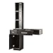 BarberPub Locking Wall Mount Hair Styling Barber Station Without Mirror Dressing Table (Black)
