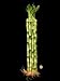 KL Design & Import - 10 Stalks Of 16 Inch Straight Lucky Bamboo For Feng Shui Or Gifts