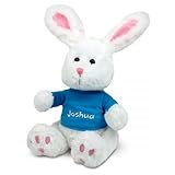 Lillian Vernon Personalized Easter Plush Bunny with Blue T-Shirt - 12