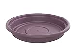 Bloem SDC14-56 Dura Cotta Plant Saucer, 14-Inch, Exotica