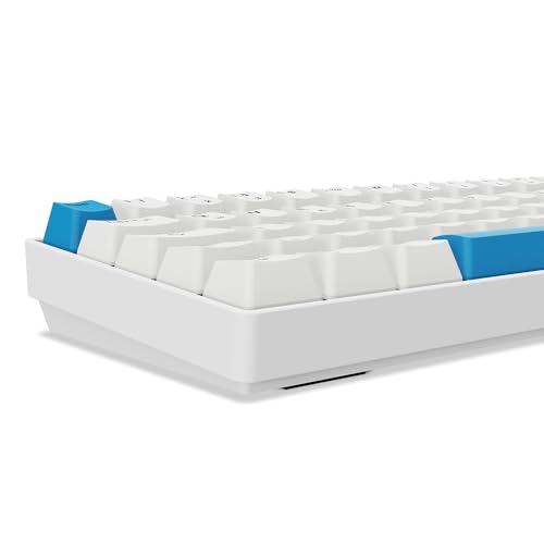 Sharkoon Skiller SGK50 S4 Gen2 PBT, weiß, Gateron G-Pro Yellow, 60% DE-Layout 4