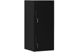 DAYTOYS 2 Door Metal Vertical Storage Locker for Kids Bedroom, Children Room, School, Office, Home ,Stackable Steel Storage Cabinet for Toys, Clothes & Sports Equipment,Anti-falling Device. (2D, black)