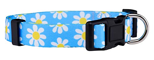 Native Pup Flower Dog Collar/Paisley Dog Collar (Small, Blue Daisy)