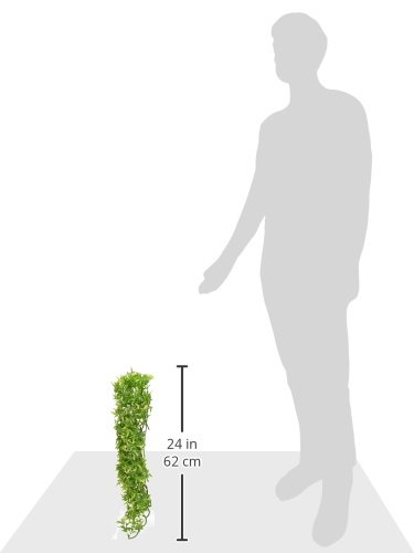 Zoo Med Naturalistic Bush Plant Bolivian Croton, Large