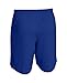Under Armour Raid Team Men's Shorts (Royal