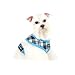 Puppia Soft Dog Harness Spring Blue Small