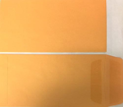 License Plate Envelopes 100 per box for Car Dealership (Plain - Self Seal)