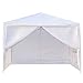 mefeir 10'x10' Canopy Party Wedding Tent w/ 4 Removable Sidewalls Warmer,Steel Tube Waterproof Sun Shelter Anti UV Protection Outdoor Pool Shed