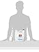 Tide Free & Gentle Liquid Laundry Detergent, High Efficiency, 170 Fl Ounce