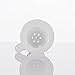 Glass Bowl Glass Herb Holder with Honeycomb Screen (14mm male, White)