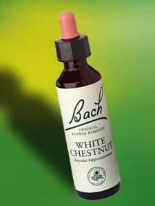 Bach Flower Remedies Essence White Chestnut -- 0.7 fl oz