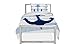 Where The Polka Dots Roam Twin Size Bedding Duvet Cover Nautical Anchor Print 2 Piece Set Unisex, Soft Brushed Microfiber, Durable, Wrinkle-Resistant, Allergy Free for Adults, Men, Women, Teens, Kids