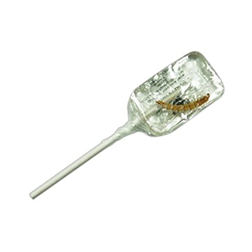 Tequila Lollipops With Worm 1 Count