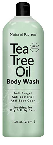 Antifungal TeaTree Oil Body Wash, Peppermint & Eucalyptus Oil Antibacterial Soap by Natural Riches -16oz Helps Athletes Foot, Eczema, Ringworm, Toenail Fungus, Jock itch, Body Itch (1 Pack)