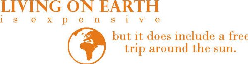 INDIGOS Wall Decal, Vinyl, Orange, 60 x 10 x 10 cm