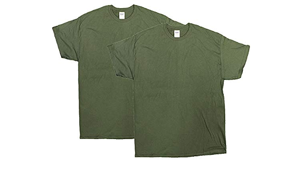 GildanTs 2 Pack of Men's Gildan G500 T 