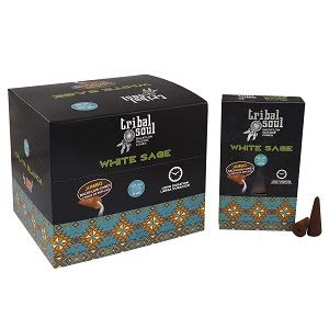 Tribal Soul Premium Backflow Incense Cones (Jumbo, 10 Cones) | Aromatic, Long-Burning for Waterfall Incense Burners : (2 Packs, White Sage)