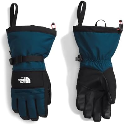 Amazon.com: The North Face Men's Montana Ski Mitt | Heavily