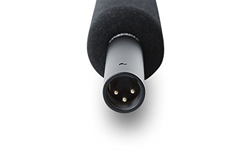 Marantz Professional Audio Scope SG-9P | Short Interference-Tube Shotgun Condenser Mic (340mm / Phantom Power) - Thumbnail 5