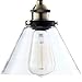 Light Society Cruz Wall Sconce, Clear Glass Shade with Antique Brass Finish, Vintage Modern Industrial Farmhouse Lighting Fixture (LS-W129)