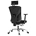 Hbada Ergonomic Office Desk Chair with Adjustable Armrest, Lumbar Support, Headrest and Breathable Skin-Friendly Mesh, Black