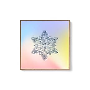 Framed Canvas Wall Art for Living Room, Bedroom Snowflake Theme Canvas Prints for Home Decoration Ready to Hang - 16x16 inches