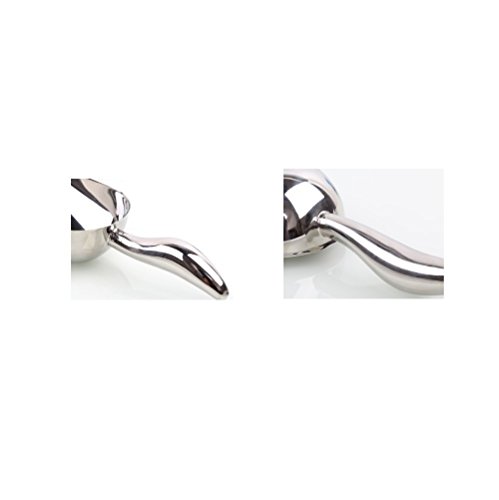 Premium Stainless Steel Ice Scoop Set of 2