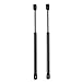Selectec Lift Supports Struts Shocks Gas Charged 2PCS Bonnet Front Hood Lift Support Gas Springs for Ford Explorer 2002 2003 2004 2005 2006 2007-2010