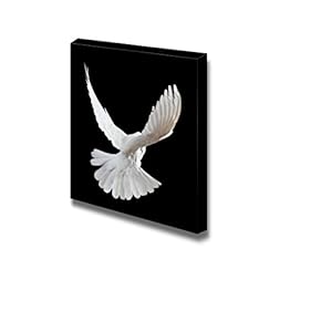Canvas Prints Wall Art - A Free Flying White Dove Isolated on a Black Background - 12" x 12"