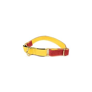 PetWale Dark Red Dog Martingale Collar - (Size : Medium)