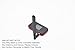 TECHTOO 3G 4G Dipole Antenna Wide Band 5dbi 700-2600Mhz Omni Directional GSM WiFi Antenna with RP-SMA Connector for CEP Router Access Point Wireless Rang Extender (Black 1-Pack)