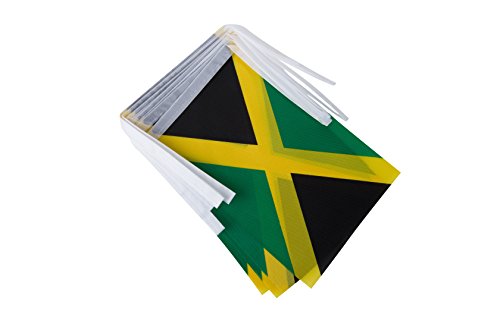 TSMD Jamaica Flag, 100 Feet Jamaican Flag National Country World Pennant Flags Banners String,Internationl Party Decorations for Grand Opening,Olympics,Bar,School Sports Events,Festival Celebration