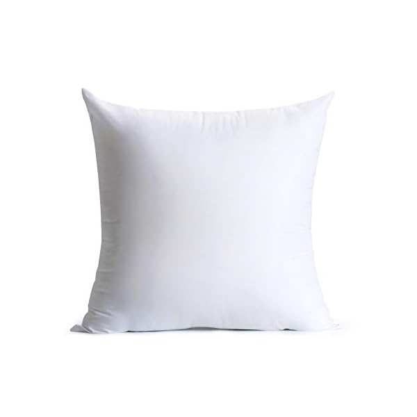 22 by 22 pillow insert