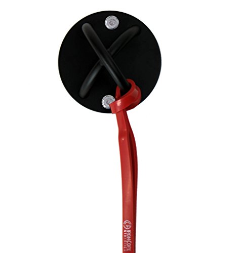 Iron Core Athletics Wall/Ceiling Mount Fitness Anchor - Use with Suspension Training Straps, Battle Ropes, Exercise Bands. Hardware for Wood and Concrete