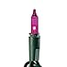 Purple Indoor/Outdoor String Lights 100 Count, Green Wire