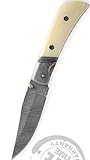 Perkin- Handmade Damascus Pocket Knife - Beautiful