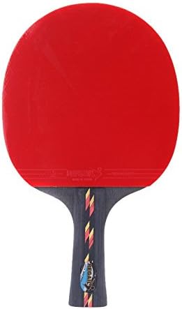 REGAIL Table Tennis Racket Ping Pong Paddle Bat Case Bag