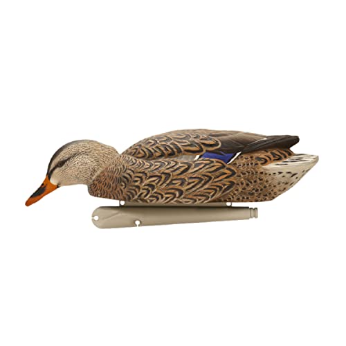 AvianX Topflight Early Season Mallards Durable Realistic Floating