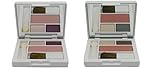 Clinique All About Shadow Duo Eyeshadow & Powder Blusher Palette - Travel Size
