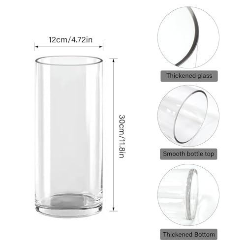 QEEYON 30cm Tall Glass Cylinder Vase, Extra Large Thickened Crystal Flower Vase for Living Room Kitchen Office Wedding Flower Arrangements (30x12cm)