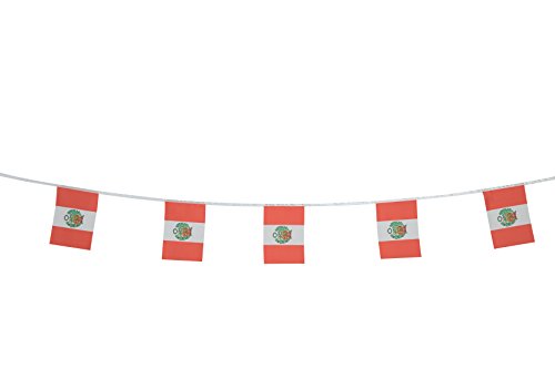 TSMD Peru Flag, 100 Feet Peruvian Flag National Country World Pennant Flags Banner,Party Decorations for Grand Opening,Olympics,Bar,World Cup,School Sports Events,International Festival Celebration - Thumbnail 4